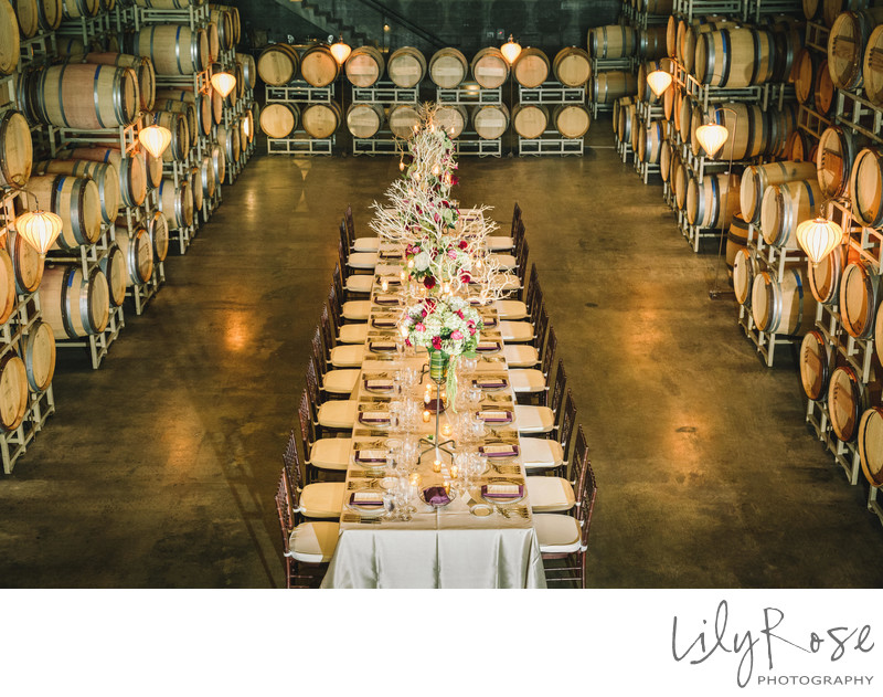 Stryker Sonoma Micro Wedding Photography Reception