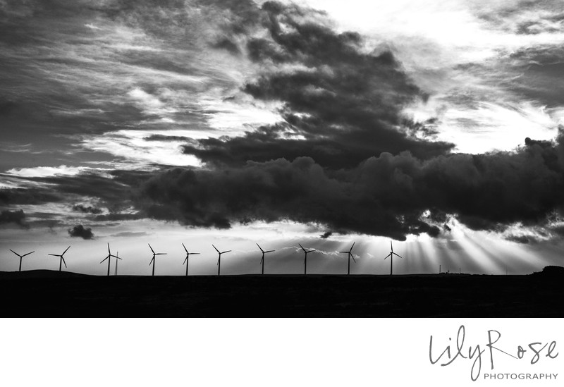 Lily Rose Photography Hawaii Windmill