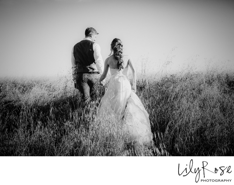 Wedding Photos at Meritage Resort and Spa in Napa 