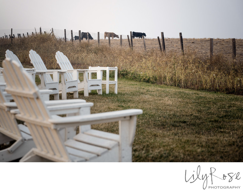 Scenic Carneros Resort Wedding Napa Photographer