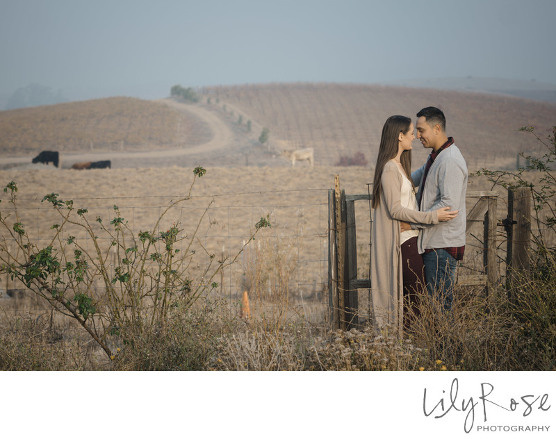 Beautiful Hillside Carneros Resort Napa Photographer