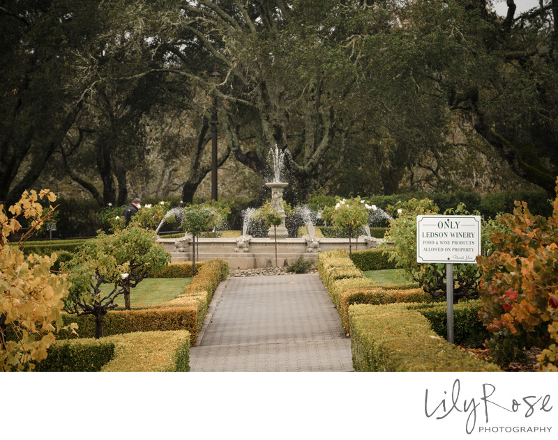 The Ledson Winery Fountain on a Wedding Day