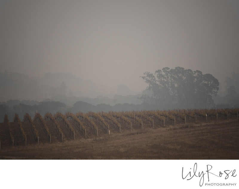 Smokey Hills Carneros Resort Spa Napa Photographers