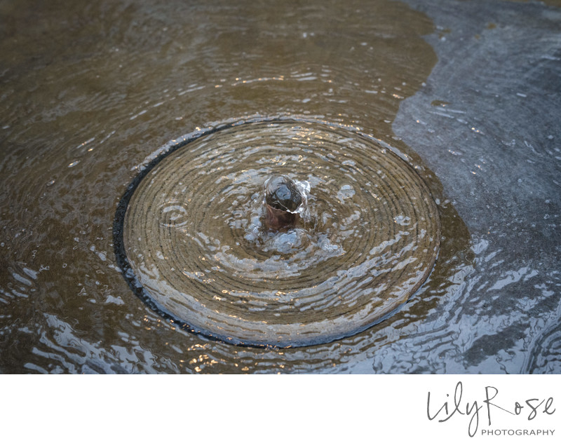 Fountain Carneros Resort Spa Napa Wedding Photographers