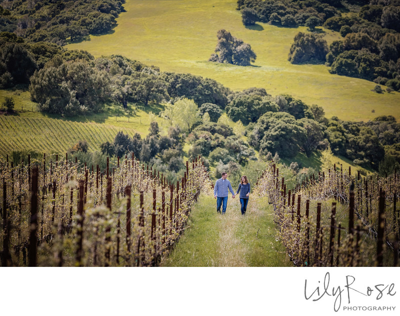 Sonoma Napa Wedding Photographers Cline Cellars Engage