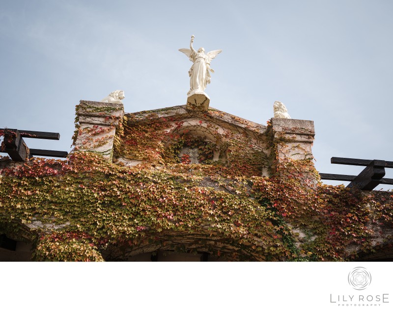 Chateau Carmel Architecture  Wedding Photographer