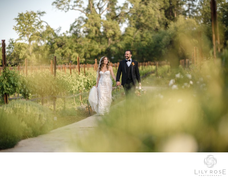 Vineyard The Estate at Yountville Wedding Photography
