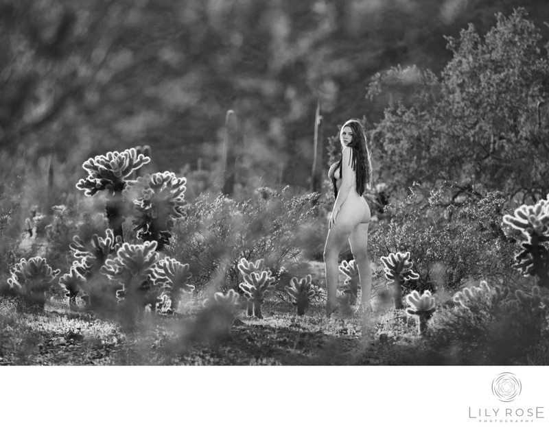 Destination Outdoor Boudoir Photographer