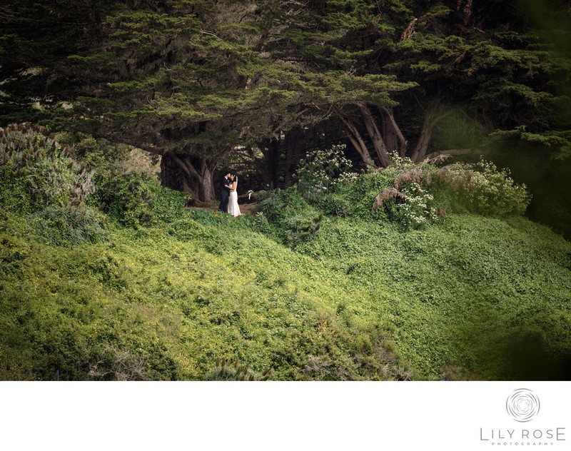 Destination Wedding Photographers Big Sur