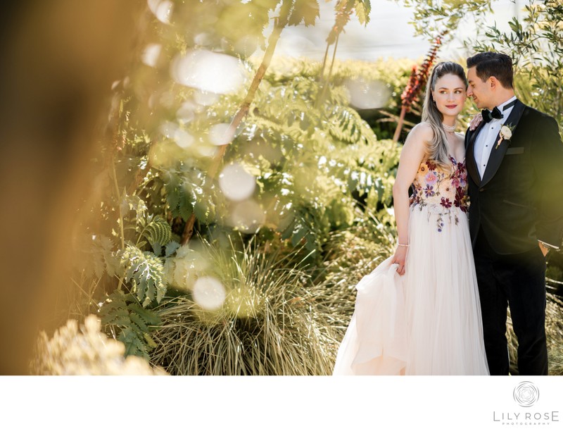 Luxury Sonoma Wedding Photography