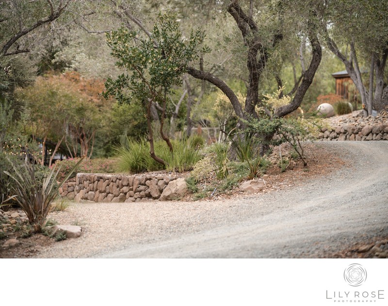 Auberge du Soleil Napa Editorial Wedding Photographer