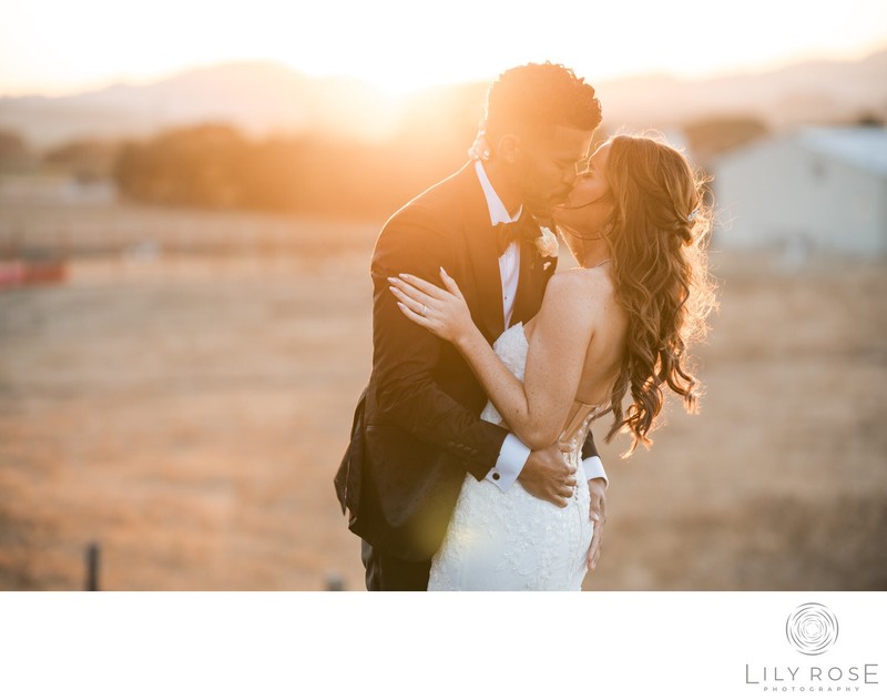 Sunset Napa Wedding Photographers Carneros Resort