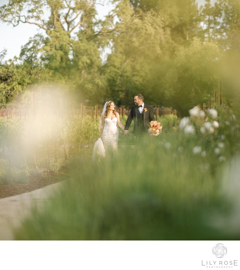 Luxury Estate Yountville Napa Wedding Photographers