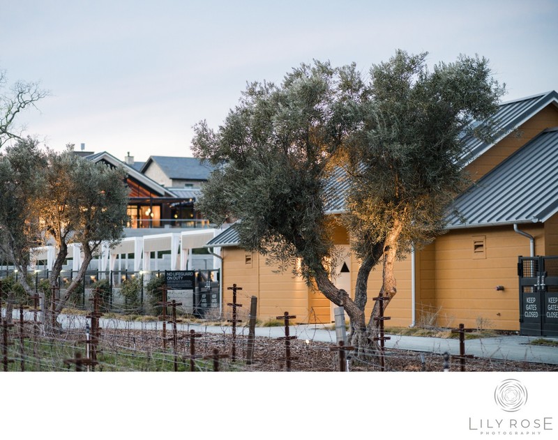 Four Seasons Luxury Napa Valley Wedding Photographers