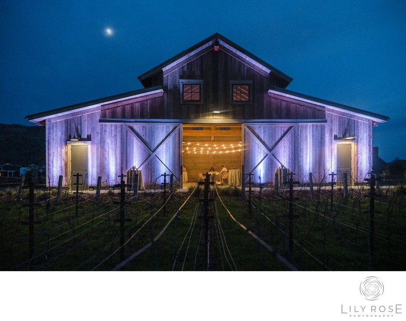 Four Seasons Luxury Wedding Photographers 