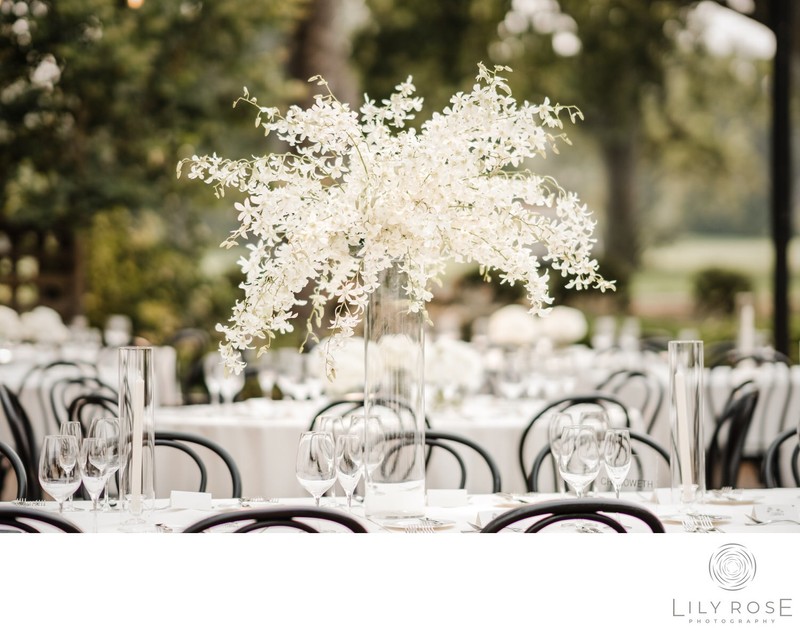 Luxury Fine Art Napa Wedding Photographer