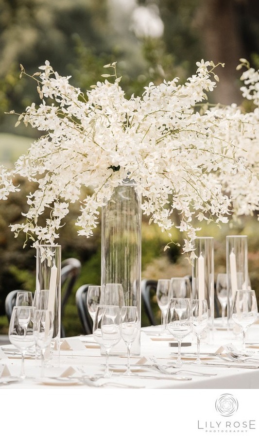 Luxury Napa Documentary Wedding Photographer