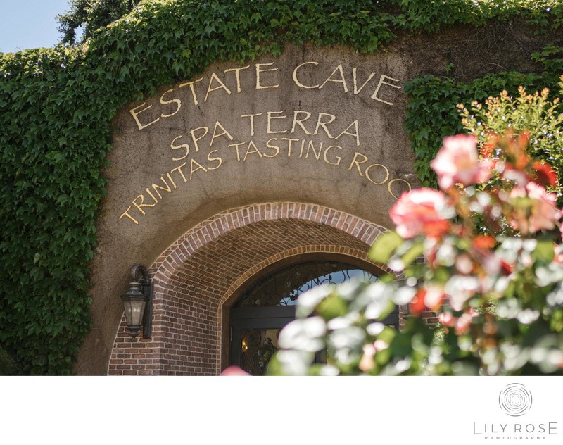 Napa Vineyard Wedding Photographers Meritage