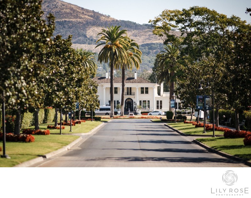 Silverado Resort Best Napa Wedding Photographers