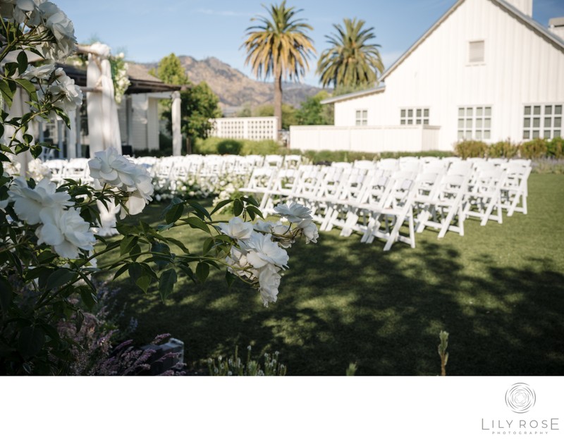 Solage Best Napa Valley Wedding Photographers