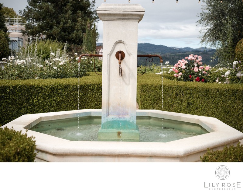 V Sattui Fountain Wedding Photograpehrs