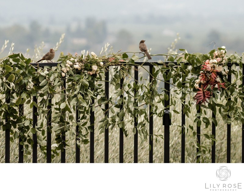 Auberge du Soleil Napa Wedding Photography