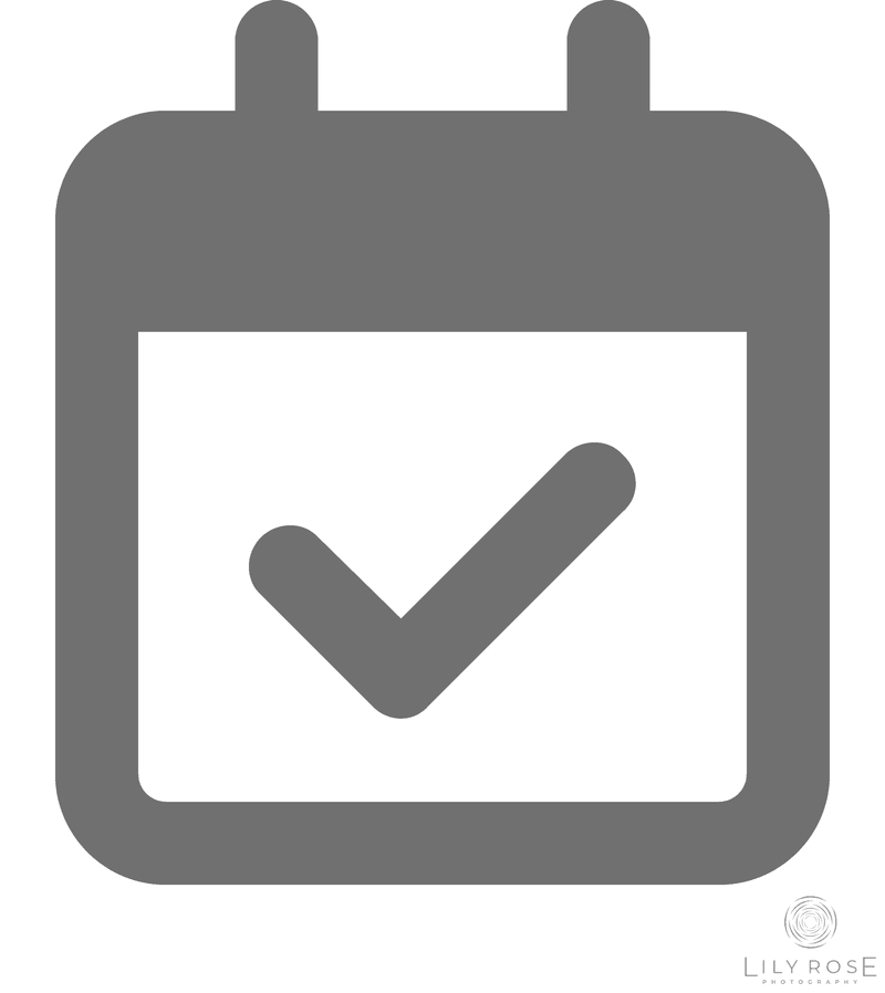 Check Schedule Icon