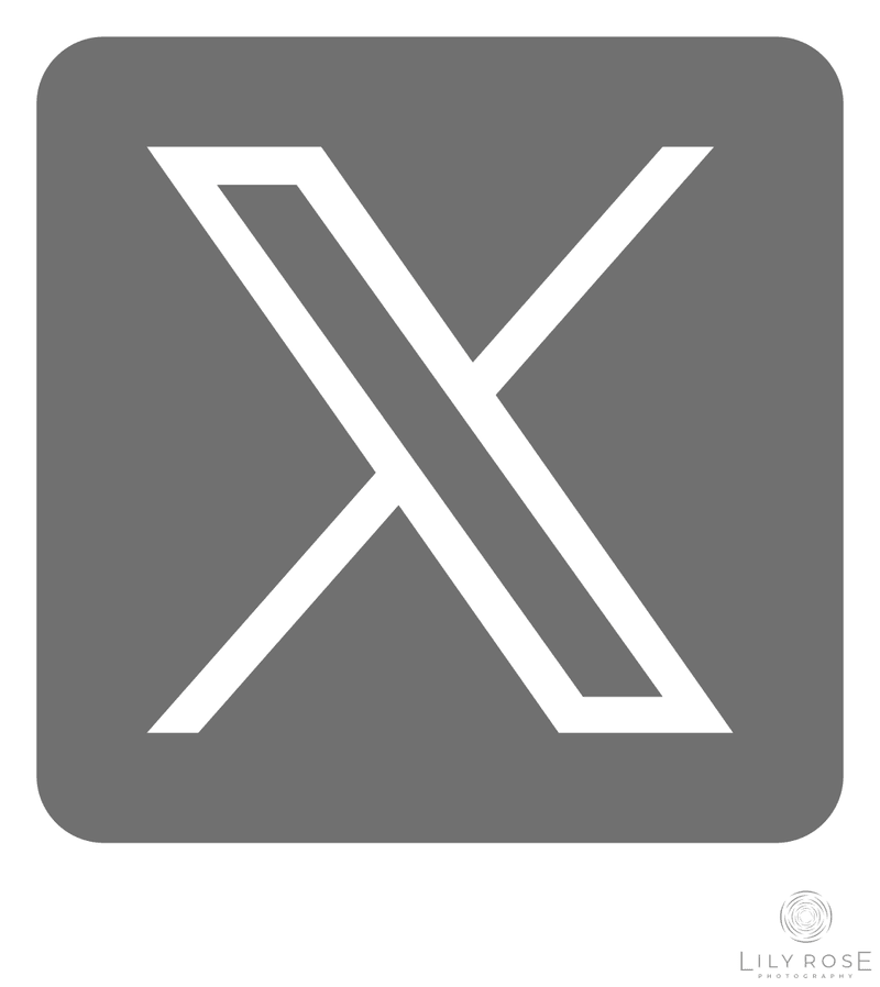 X Icon