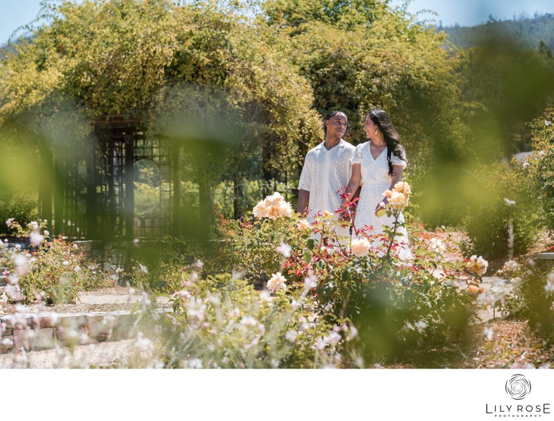 Sonoma Proposal Photography Sonoma Botanical Gardens