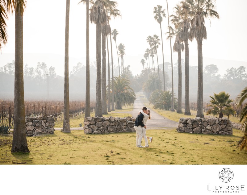 Scribe Winery Wedding and Engagement Photographers