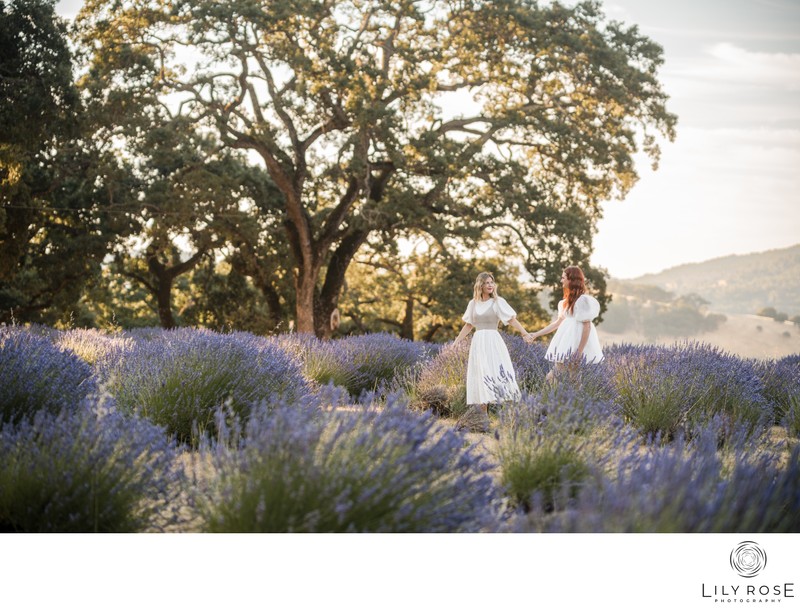 Napa Photographer Same Sex Engagement 