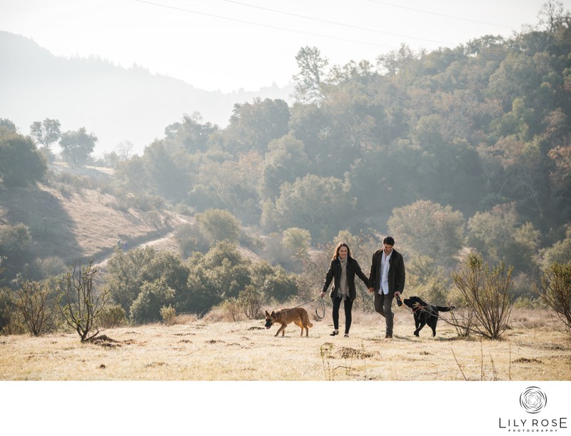 Proposal Healdsburg Ridge Sonoma Wedding Photography