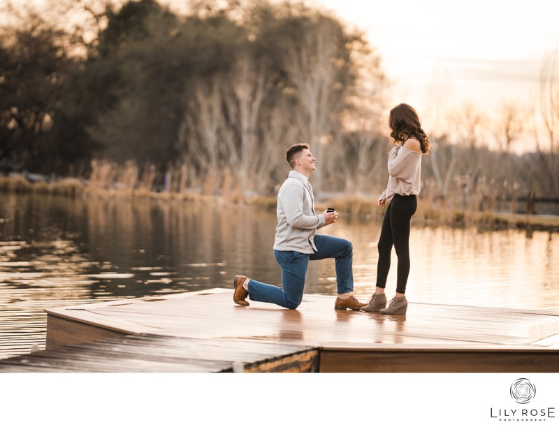 Romantic Lincoln Proposal Photographers