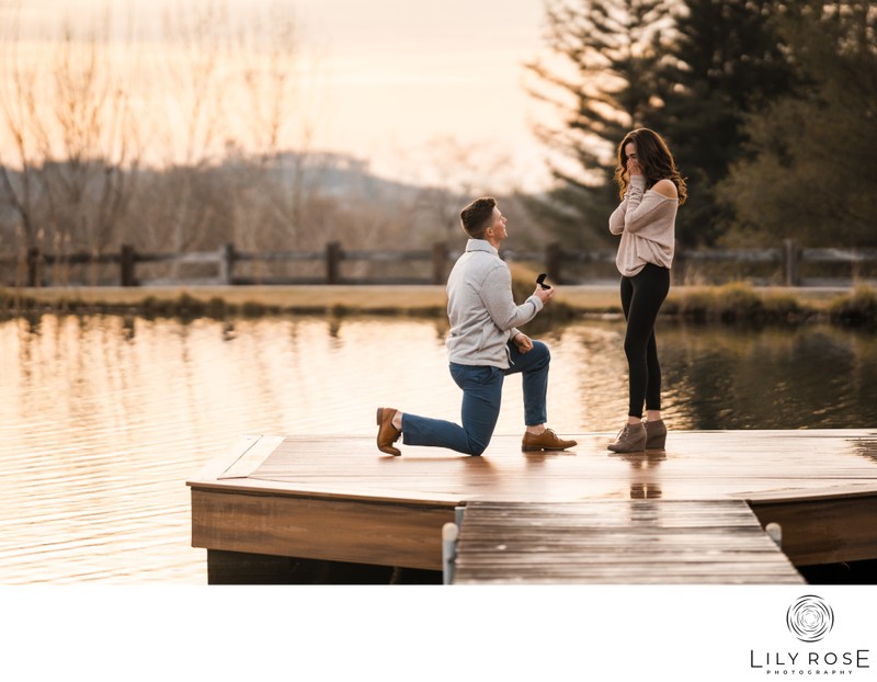 Romantic Lincoln Proposal Photographer