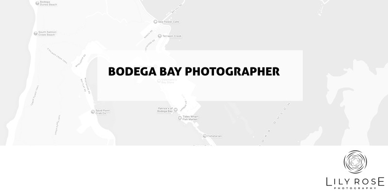 Bodega Bay Wedding and Portrait Photographers