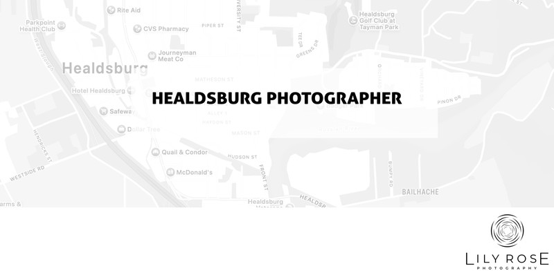 Healdsburg Wedding and Portrait Photographers