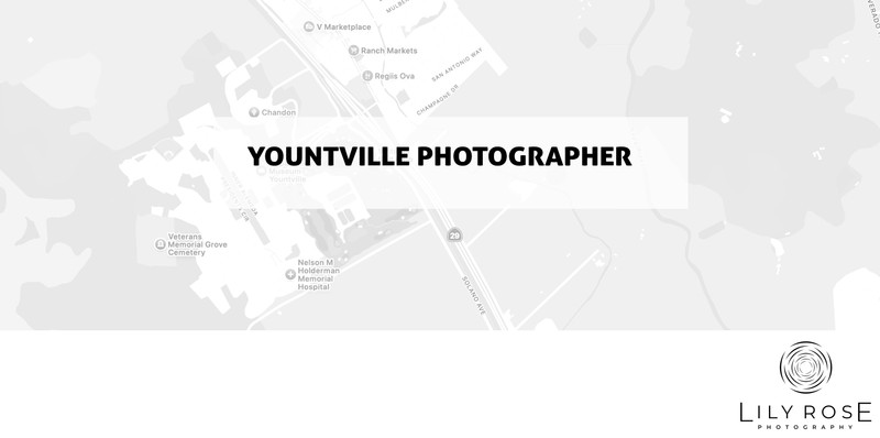 Yountville Wedding and Portrait Photographers