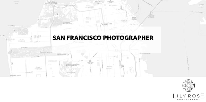 San Francisco Wedding and Portrait Photographers