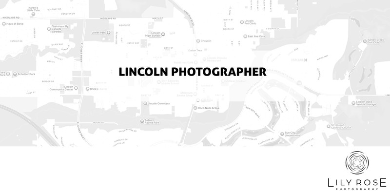 Lincoln Wedding and Portrait Photographers