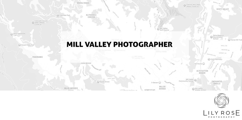 Mill Valley Wedding and Portrait Photographers