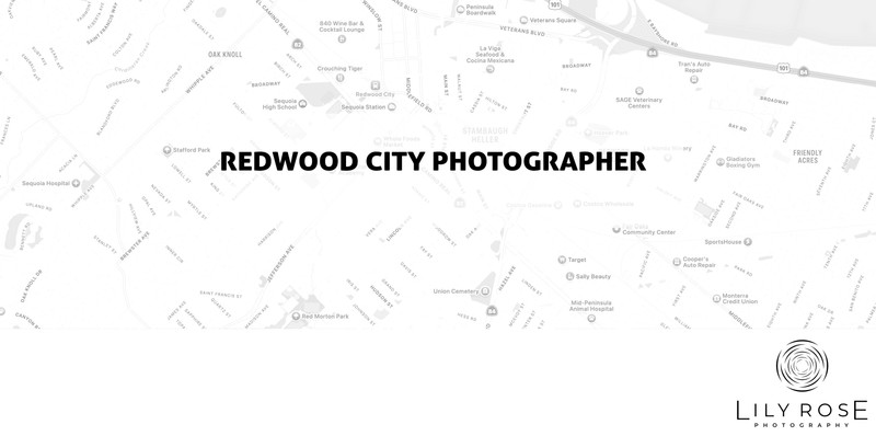 Redwood City Wedding and Portrait Photographers