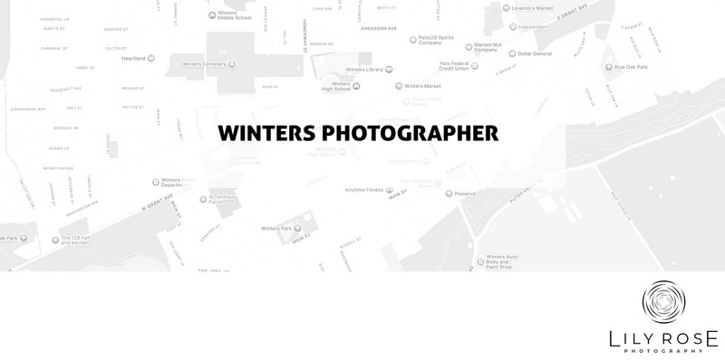 Winters Wedding and Portrait Photographers
