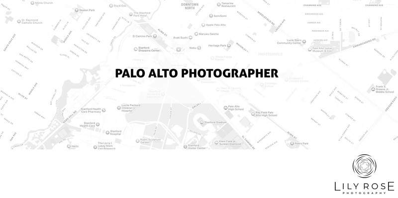 Palo Alto Wedding and Portrait Photographers