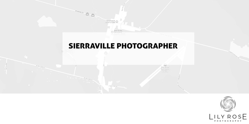 Sierraville Wedding and Portrait Photographers