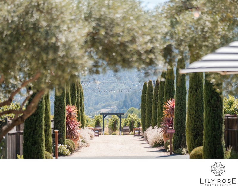 Luxury Venue Brindare Napa Valley Wedding Photographers