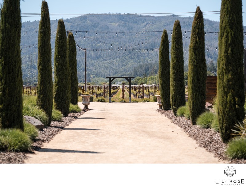 Wedding Photographers Luxury Venue Brindare Napa Valley
