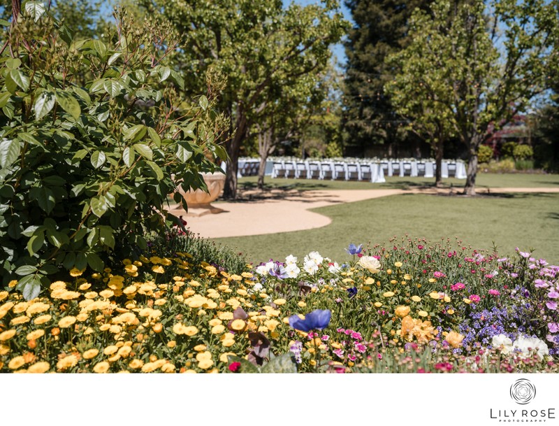 Napa Outdoor Garden Wedding Photography