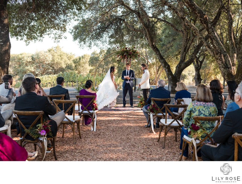 Destination Editorial Napa Wedding Photographer