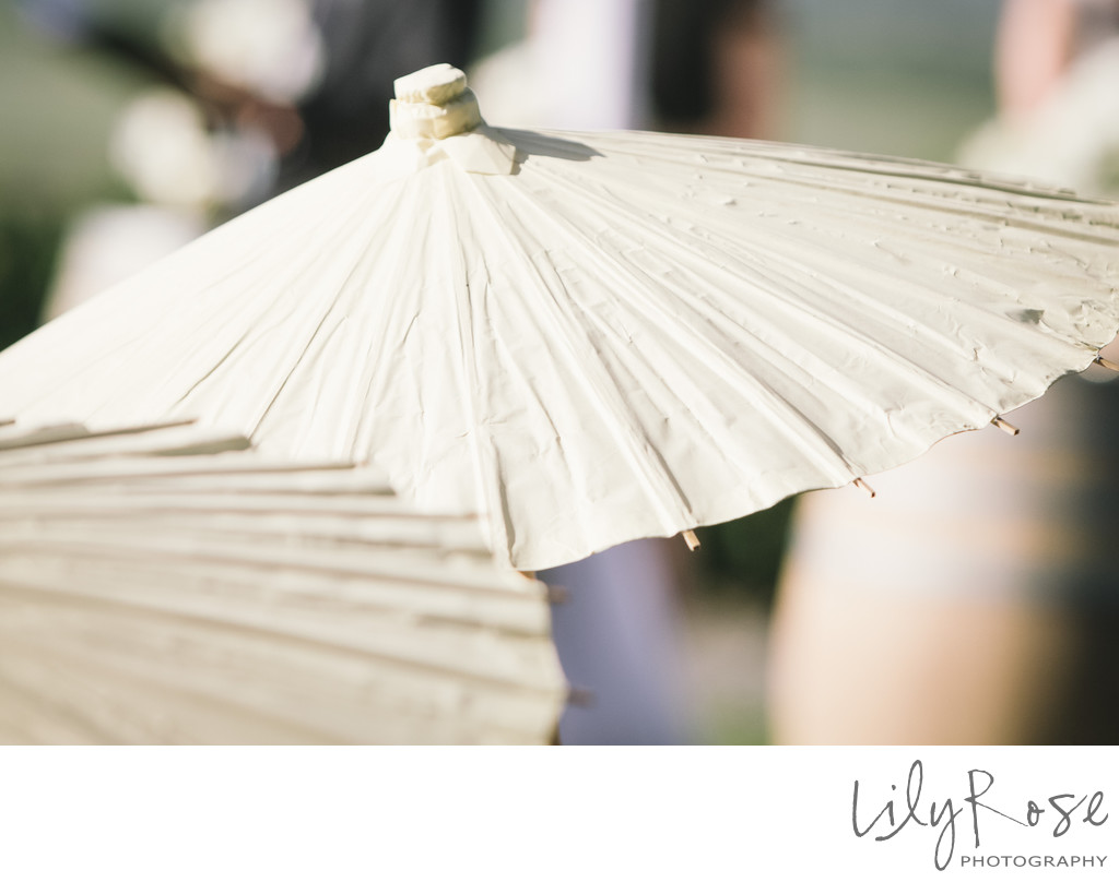 Umbrella Sonoma Wedding Photographer