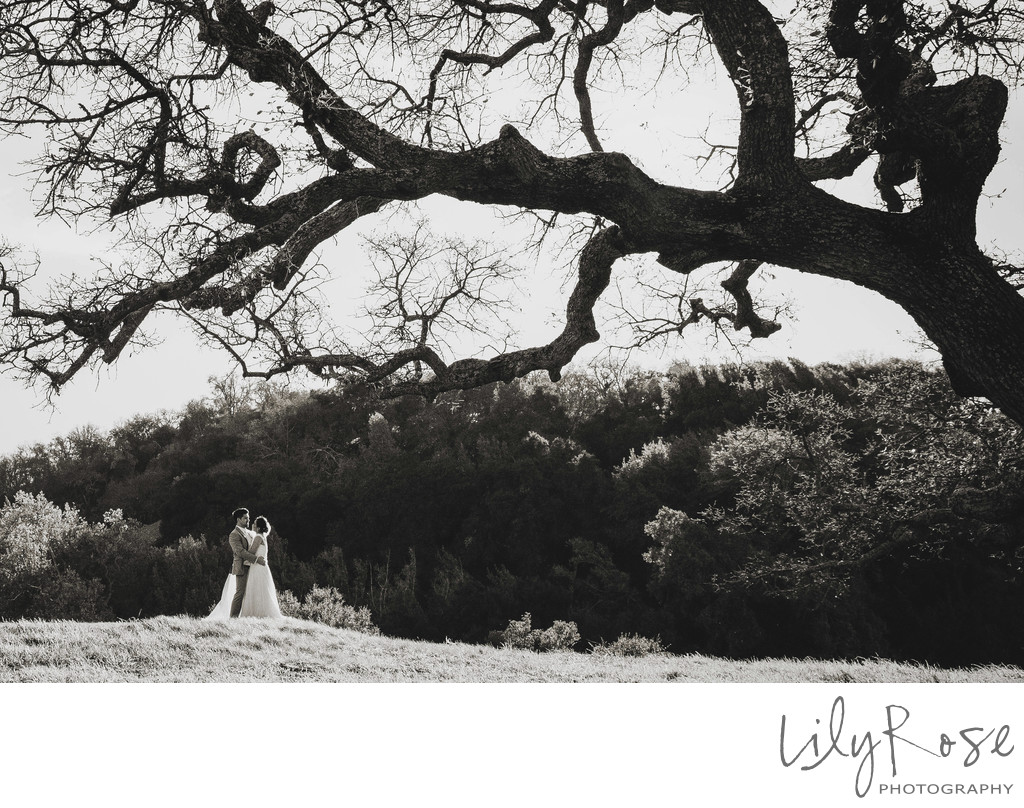 Romantic Sonoma Wedding Photographer